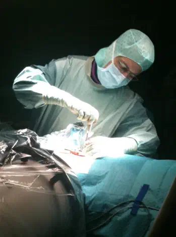 Clinical spine procedure environment supporting advanced treatment and recovery planning